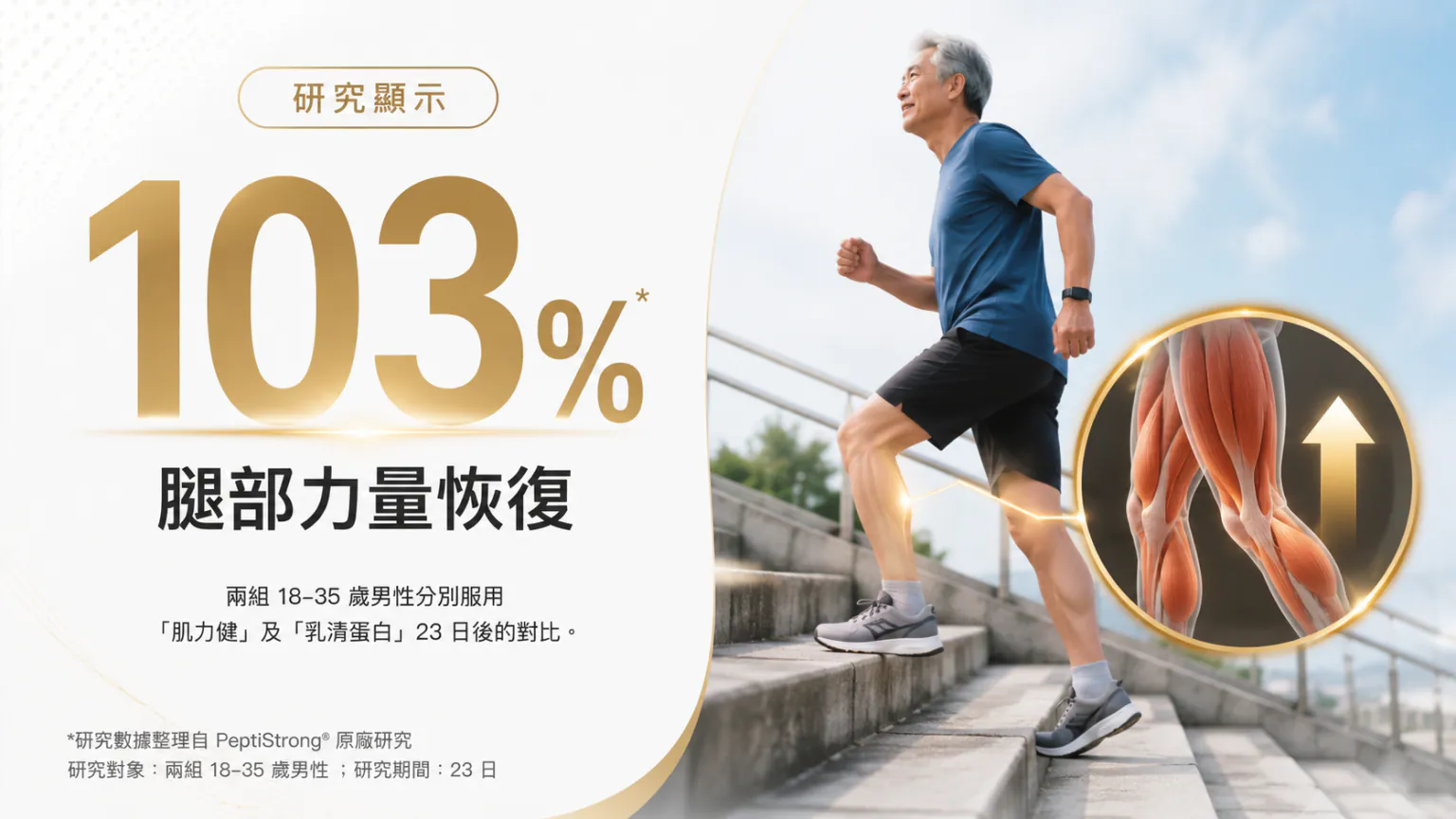 研究顯示：腿部力量恢復 103%。兩組 18–35 歲男性分別服用「肌力健」及「乳清蛋白」23 日後的對比。圖為男士跑上樓梯，並以放大圖示意腿部肌肉。